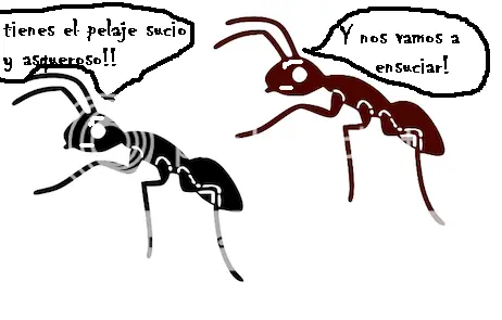 hormigas