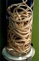 Museos curiosos de Japón