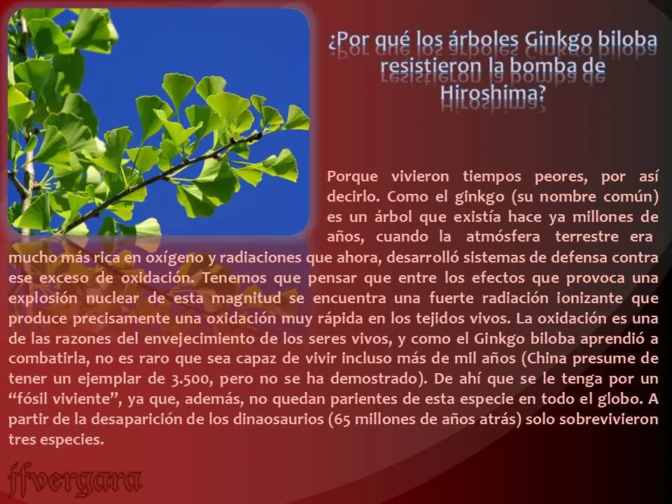 respuestas