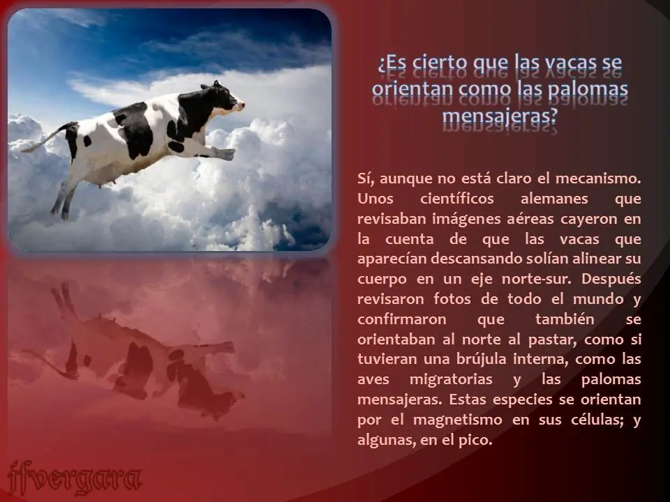 Preguntas