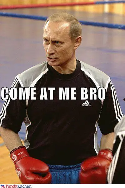 vladimir putin imagenes graciosas