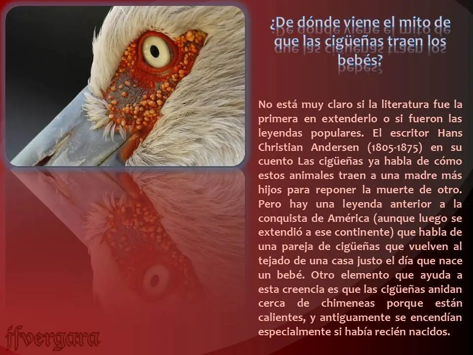 Preguntas
