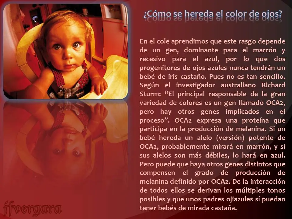 muchas