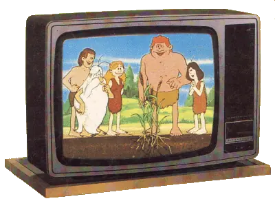 80