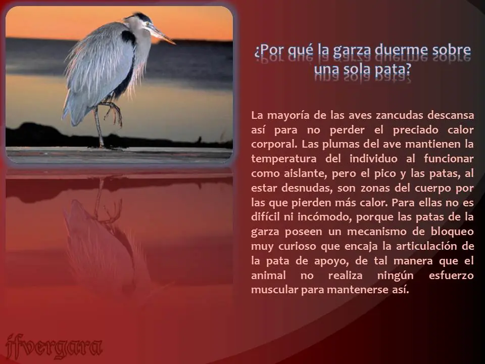 respuestas