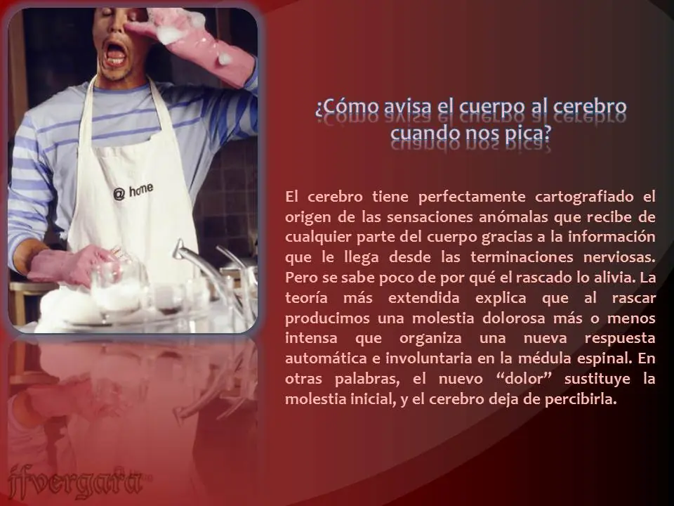 respuestas