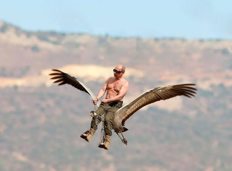 vladimir putin imagenes graciosas