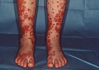 ciencia