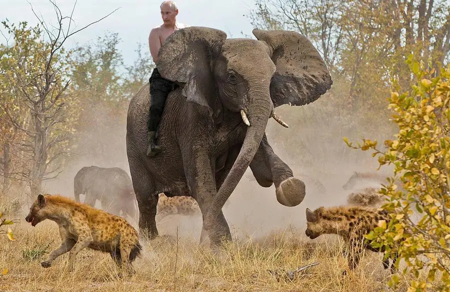 putin