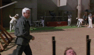 Gifs
