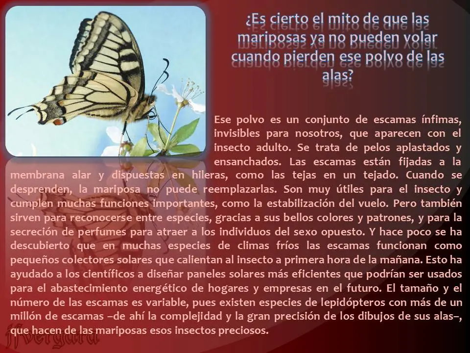 respuestas