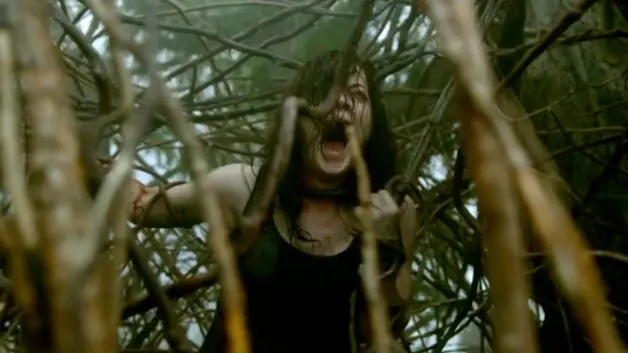 Tu Critico De Cine: Evil Dead 2013 ¿es buena o mala?