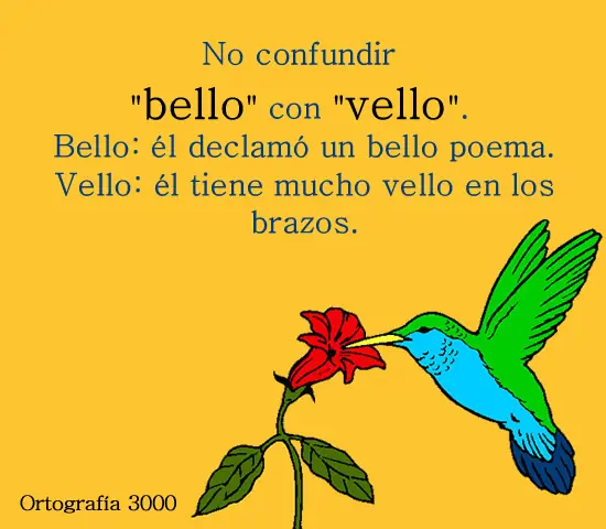 Ortografía: para no tener dudas...