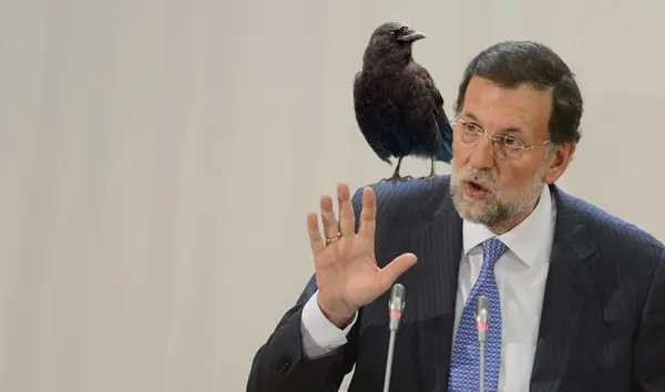 Rajoy se pasea con un cuervo en el hombro