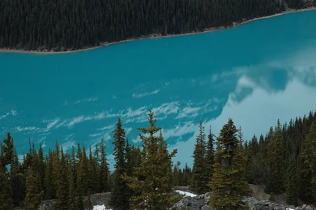 belleza