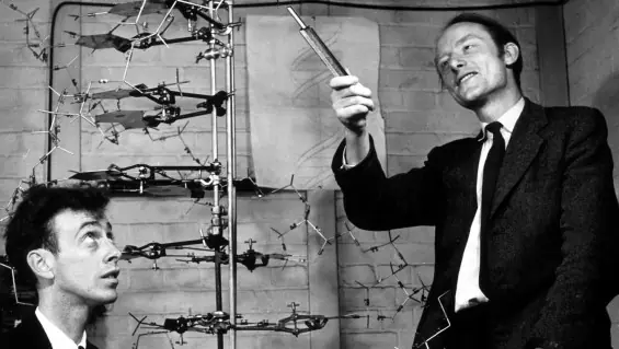 El "secreto de la vida" cumple 60 años