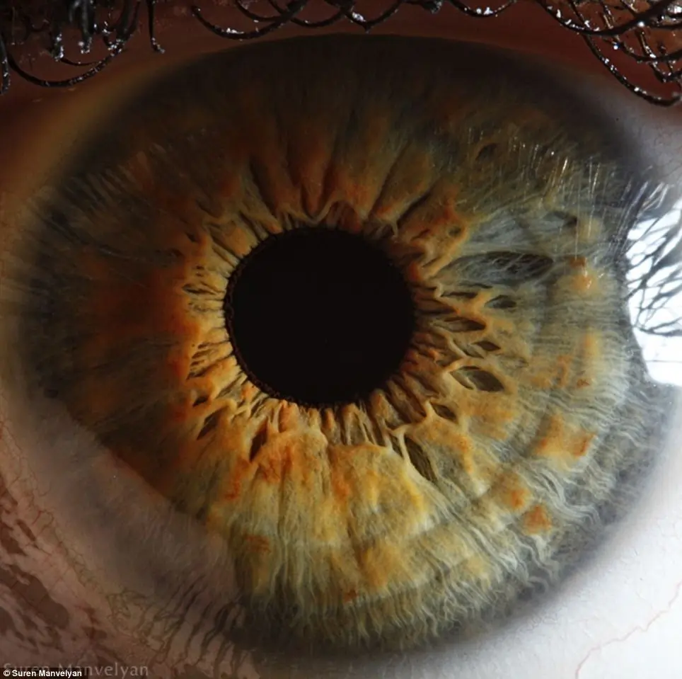 mirada