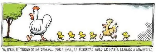 gracioso
