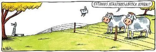 viñeta