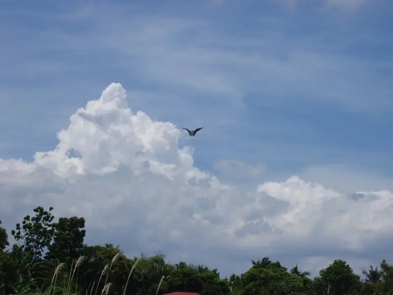 mananangal, es cierto o no?