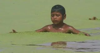 job