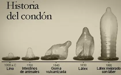cuerpo humano