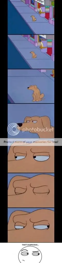 e.e