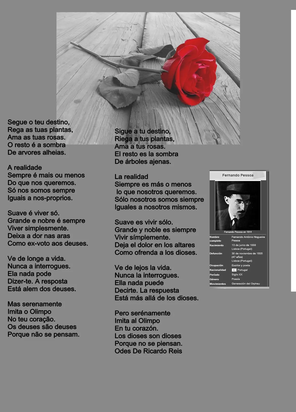 Sigue tu destino