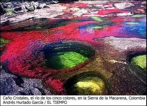 emigrar de España a Colombia siempre es posible