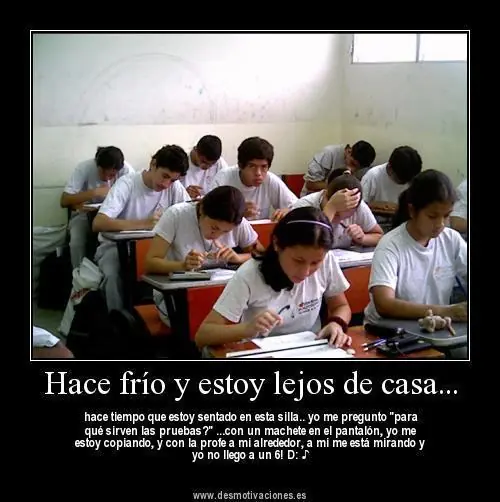 10 Imágenes graciosas