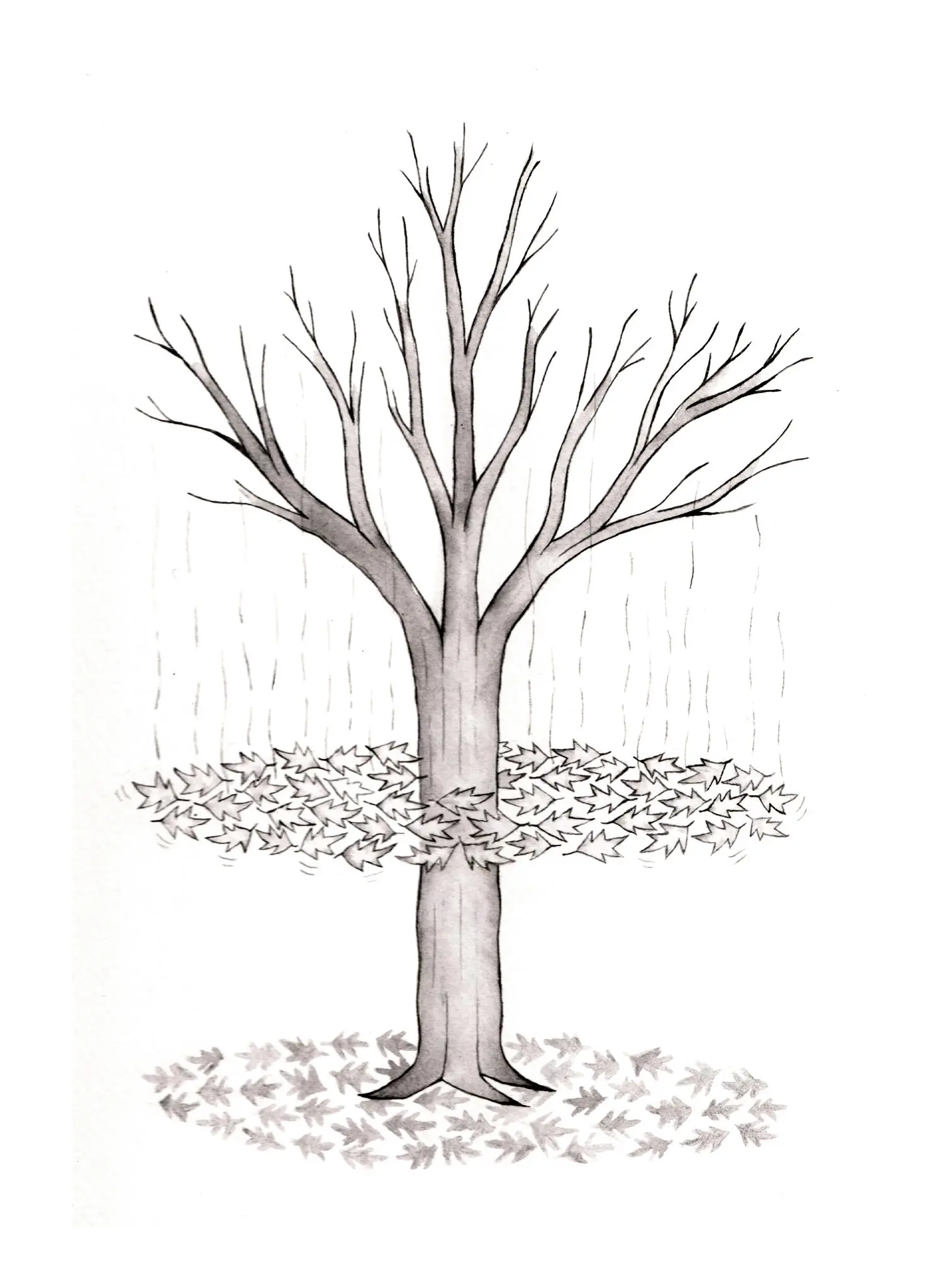 troche