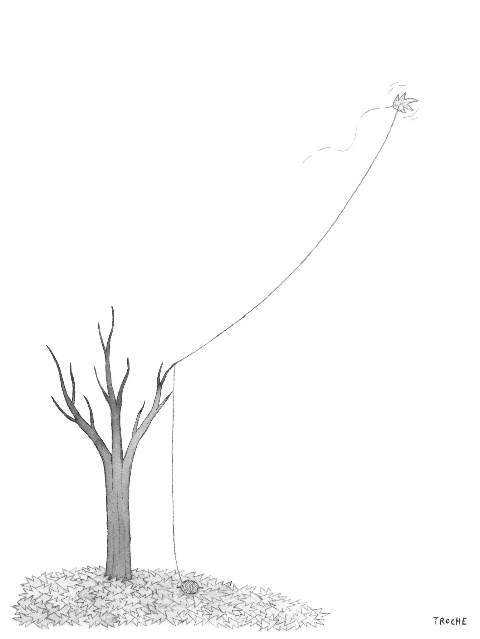 Estrella