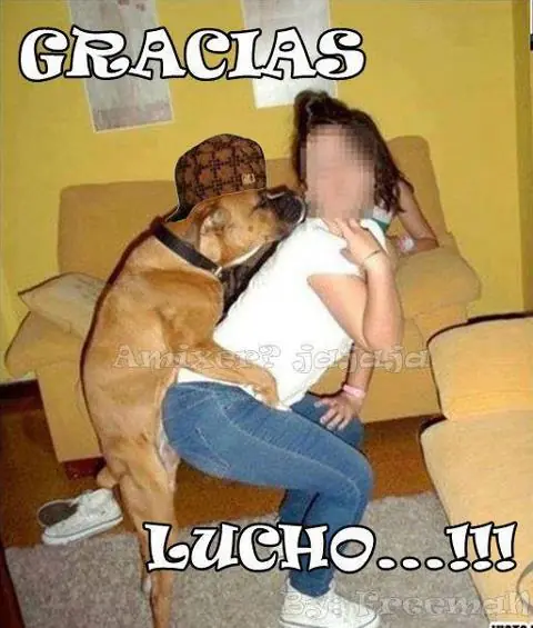 siberiano