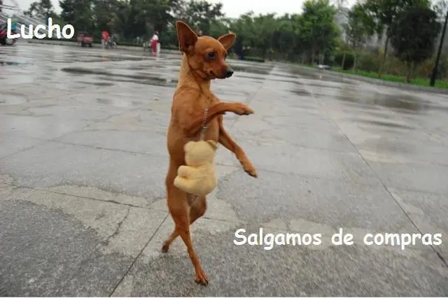 imagenes