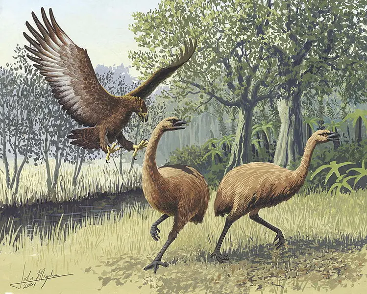 commons