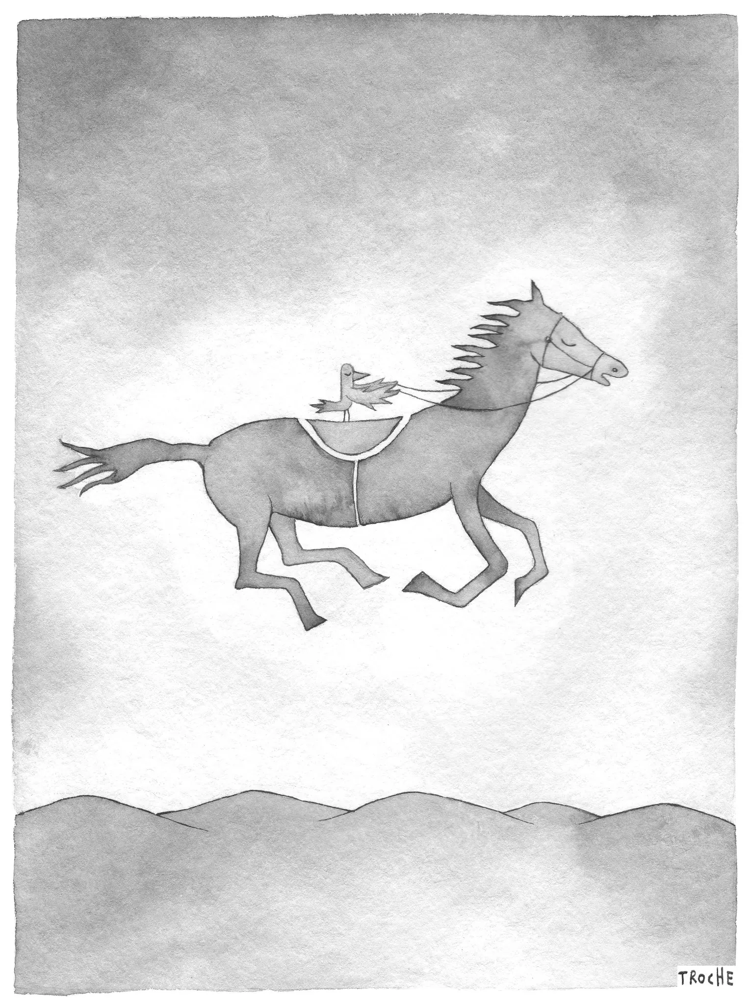 ilustrador