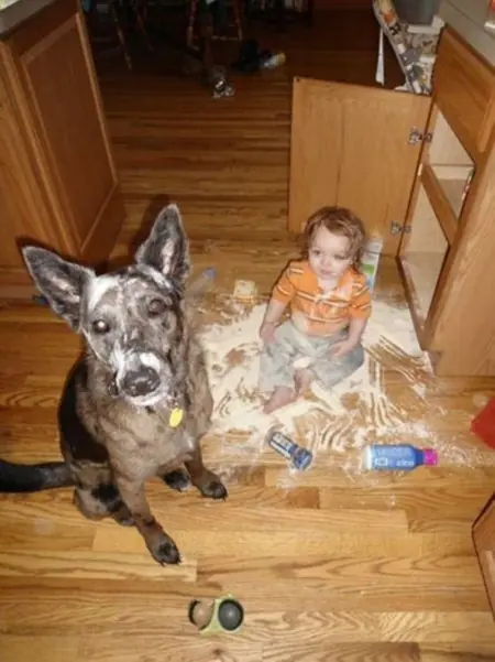 Nunca dejes a tus hijos solos