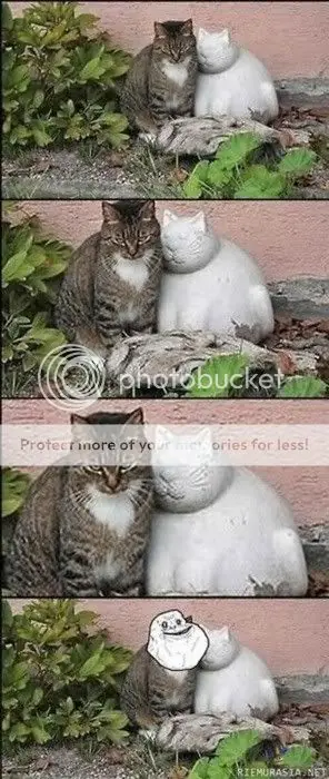 graciosas