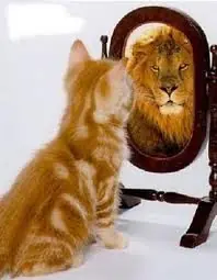 Sos un careta y te lo muestro