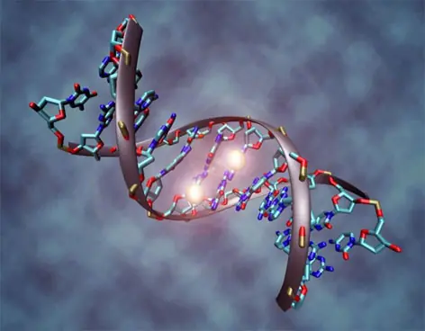 genetica