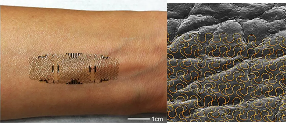 Tatuajes electrónicos en la piel medirán estado de salud