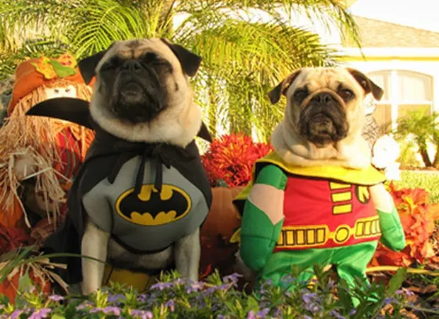 superheroes