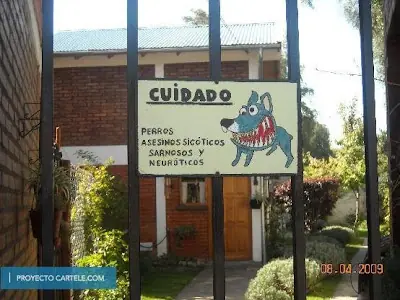 humor