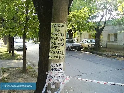 Proyecto
