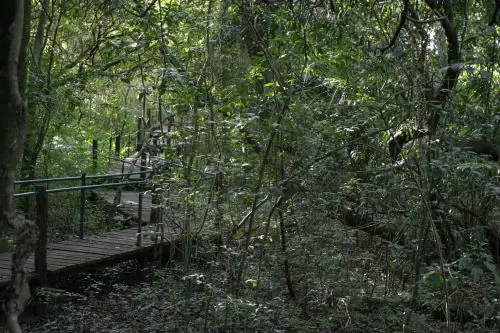 selva de ensenada