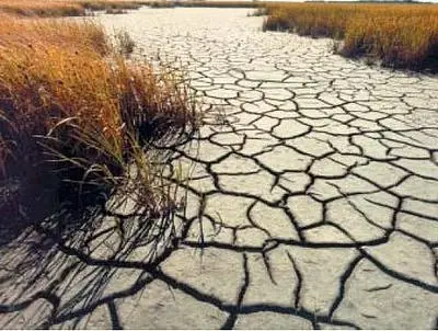 Problemas ambientales en Argentina!