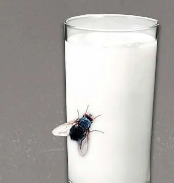 30 Motivos para no ingerir lácteos