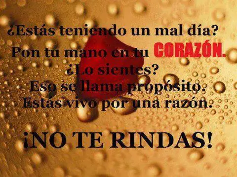 rindes