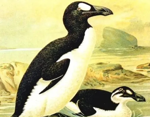 extintos