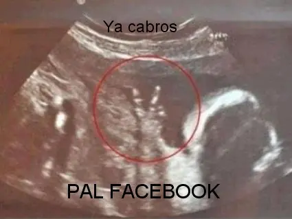 para joderse de la risa (imagenes)